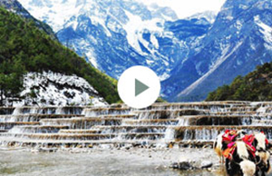 2017年致遠(yuǎn)科技團建-云南之旅